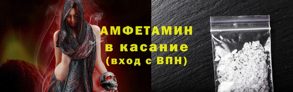 сатива Аркадак