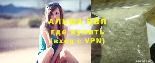 сатива Аркадак