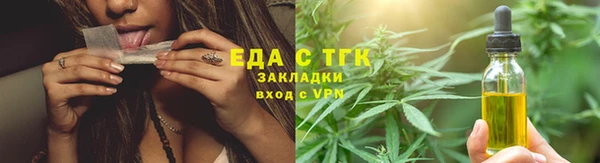 сатива Аркадак