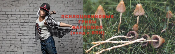 ALPHA PVP Армянск