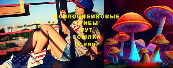 сатива Аркадак