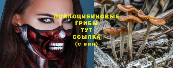 сатива Аркадак