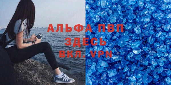 сатива Аркадак