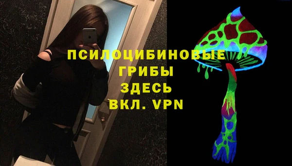 ALPHA PVP Армянск