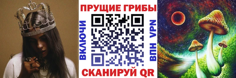 купить   Тюкалинск  гидра маркетплейс  Псилоцибиновые грибы GOLDEN TEACHER 